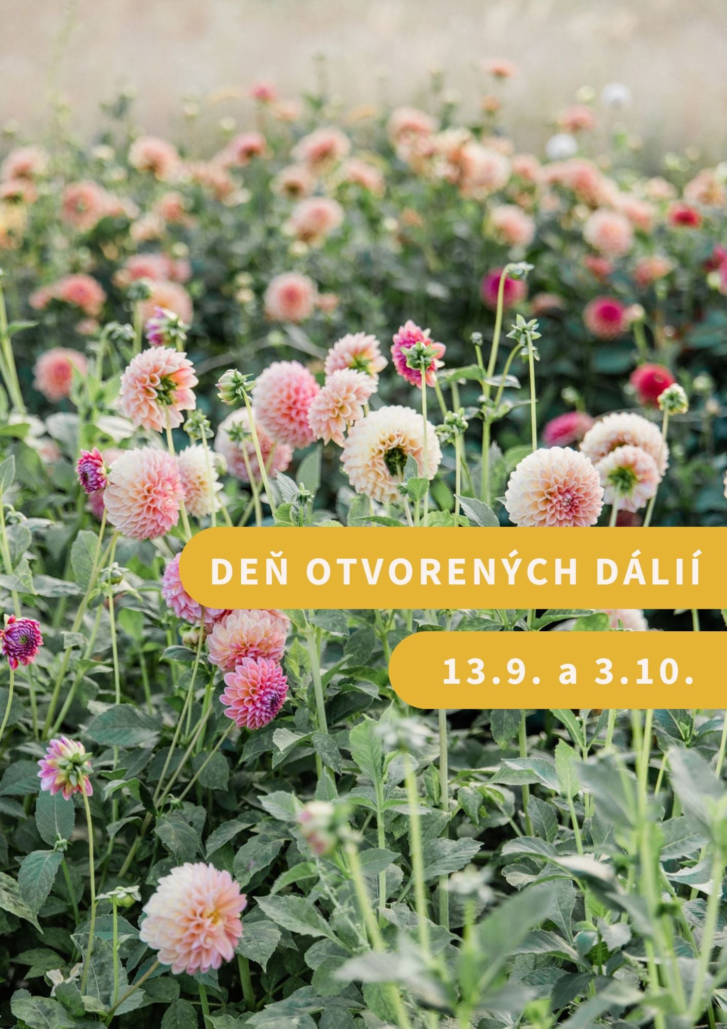 Deň otvorených dálií