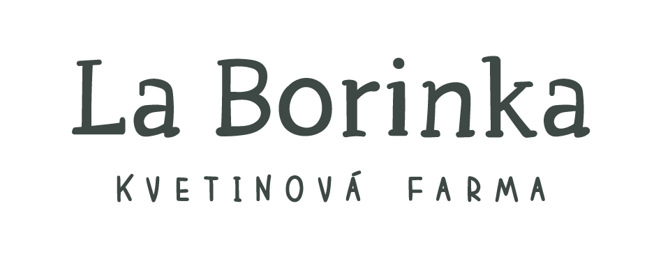 La Borinka