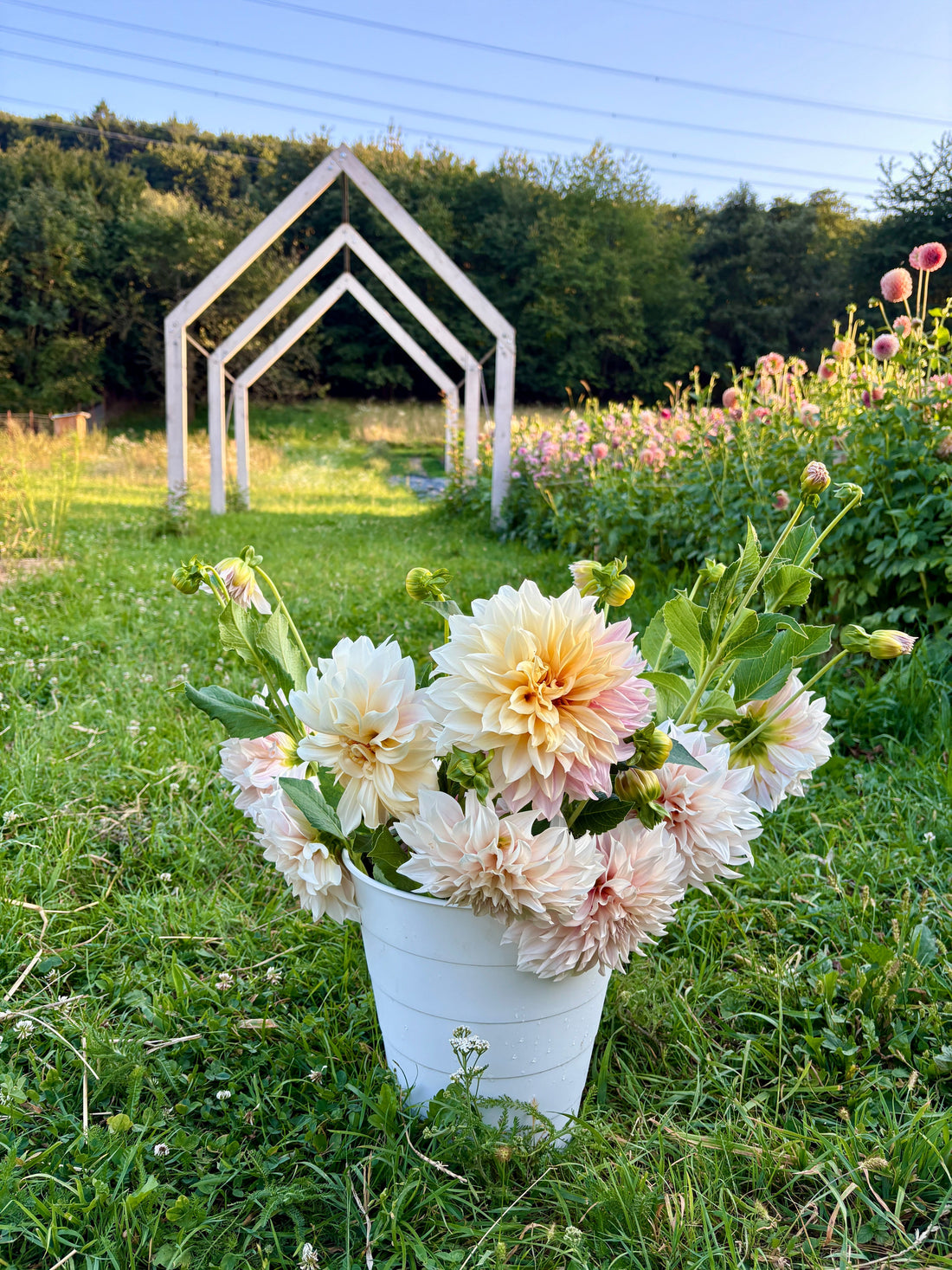 FAQ: kvetinové vedierka a DIY svadobná výzdoba