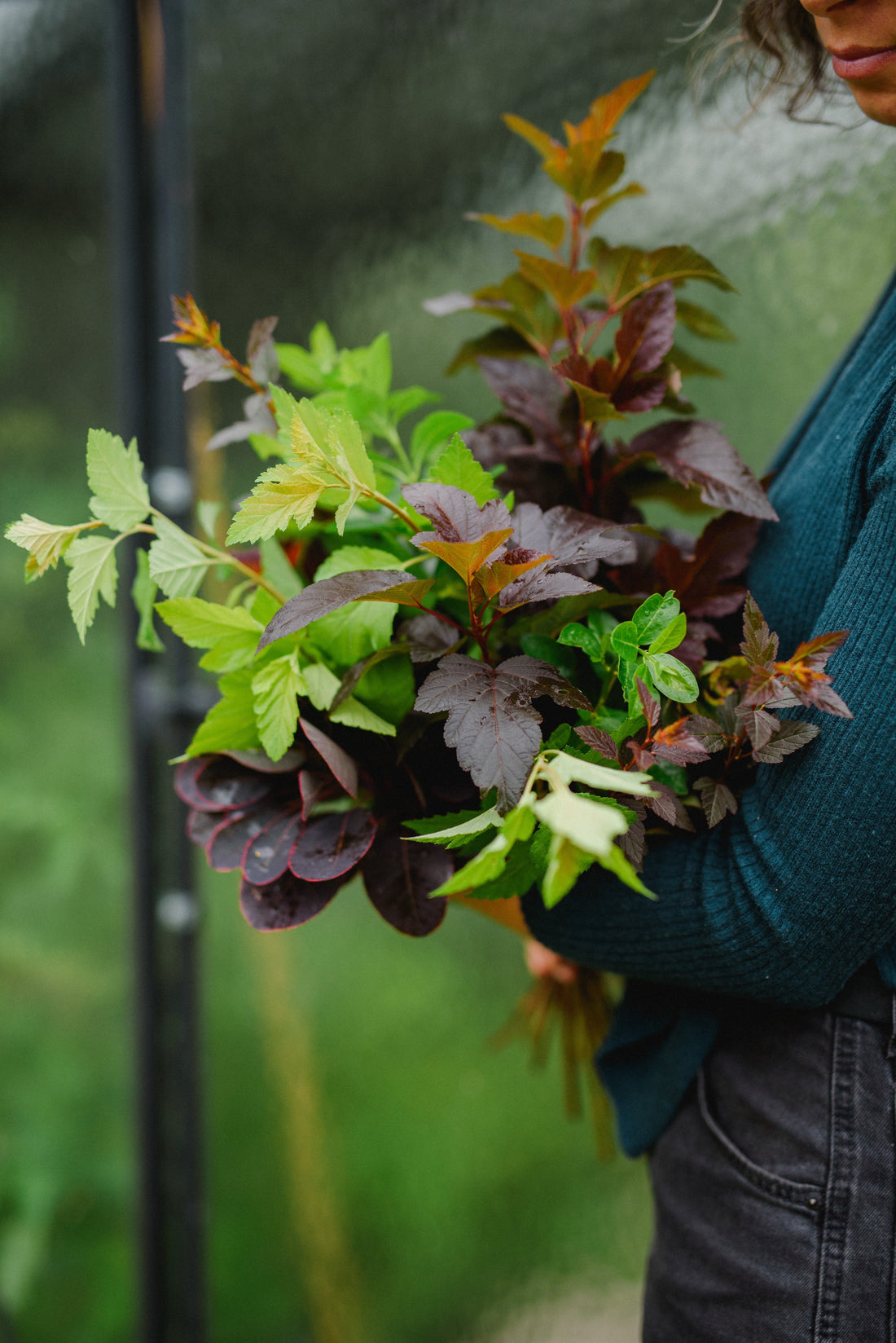 Trvalky a kríky na rez