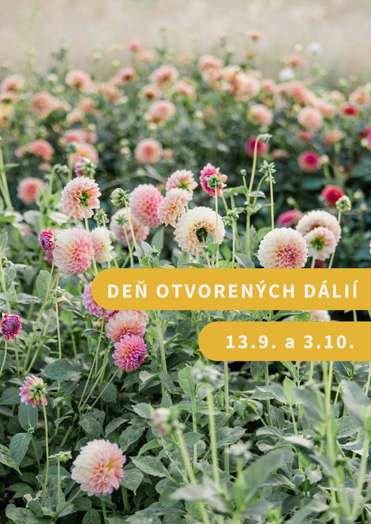 Deň otvorených dálií