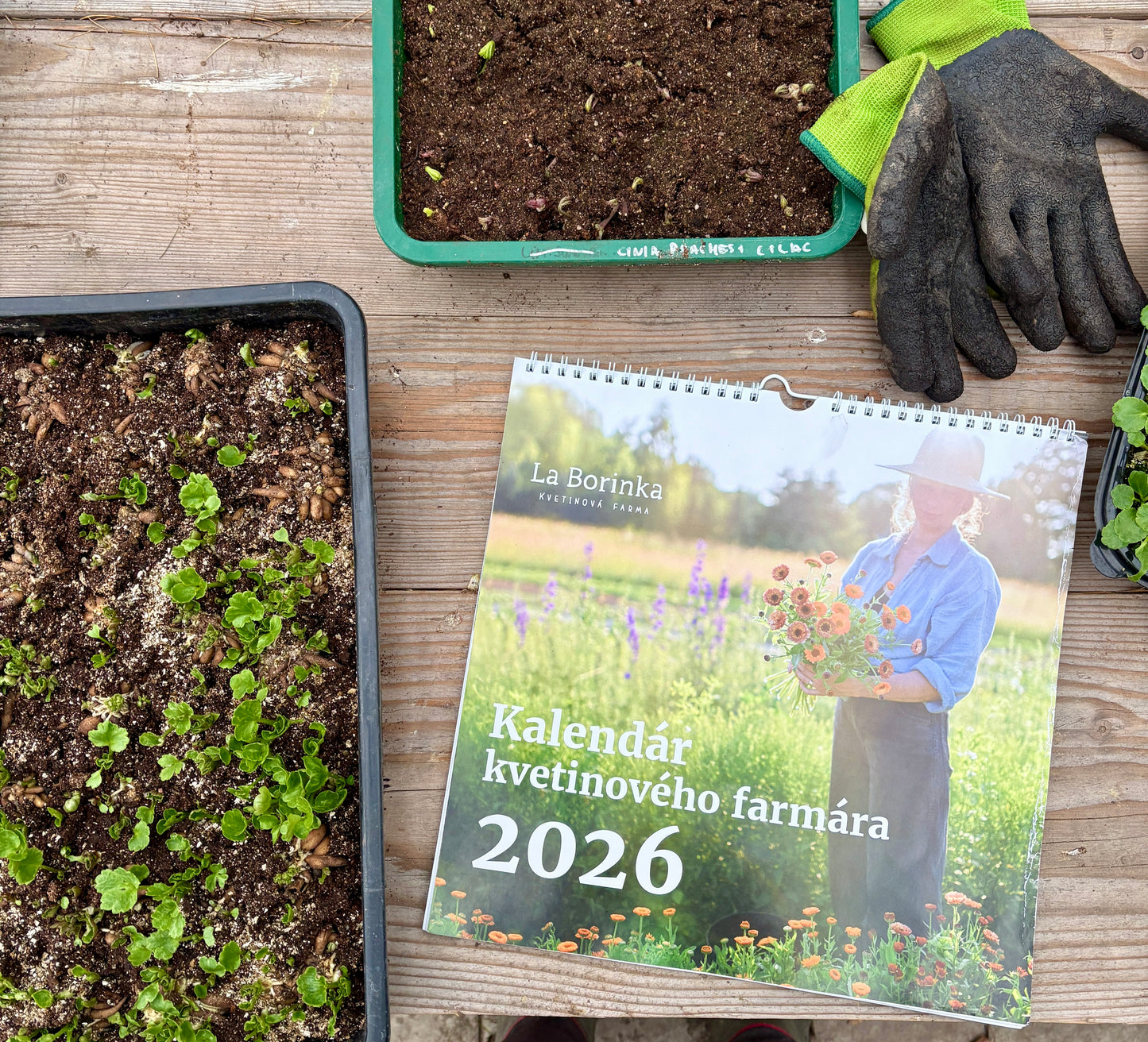Kalendár kvetinového farmára 2026 + darčekový poukaz na kvetinový samozber