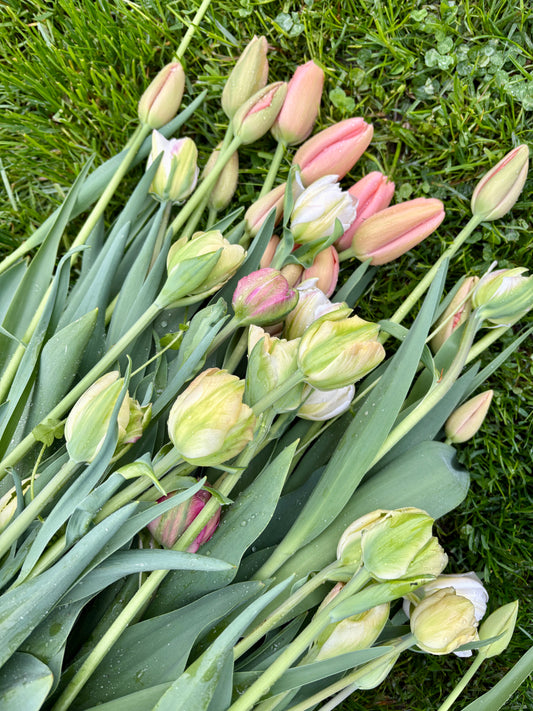 Jarná ponuka: Kvetinové zväzky