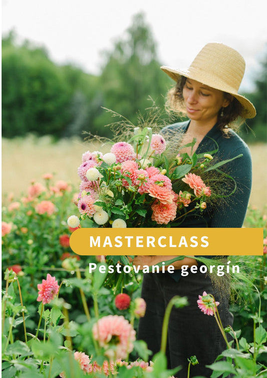 MASTERCLASS: Úspešné pestovanie georgín