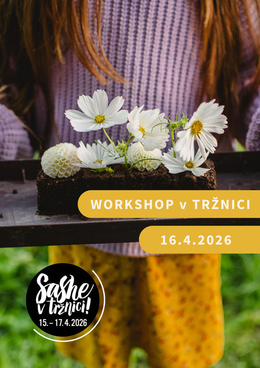 Workshop SAShE v Tržnici & La Borinka: Pestovanie kvetov pre celú rodinu