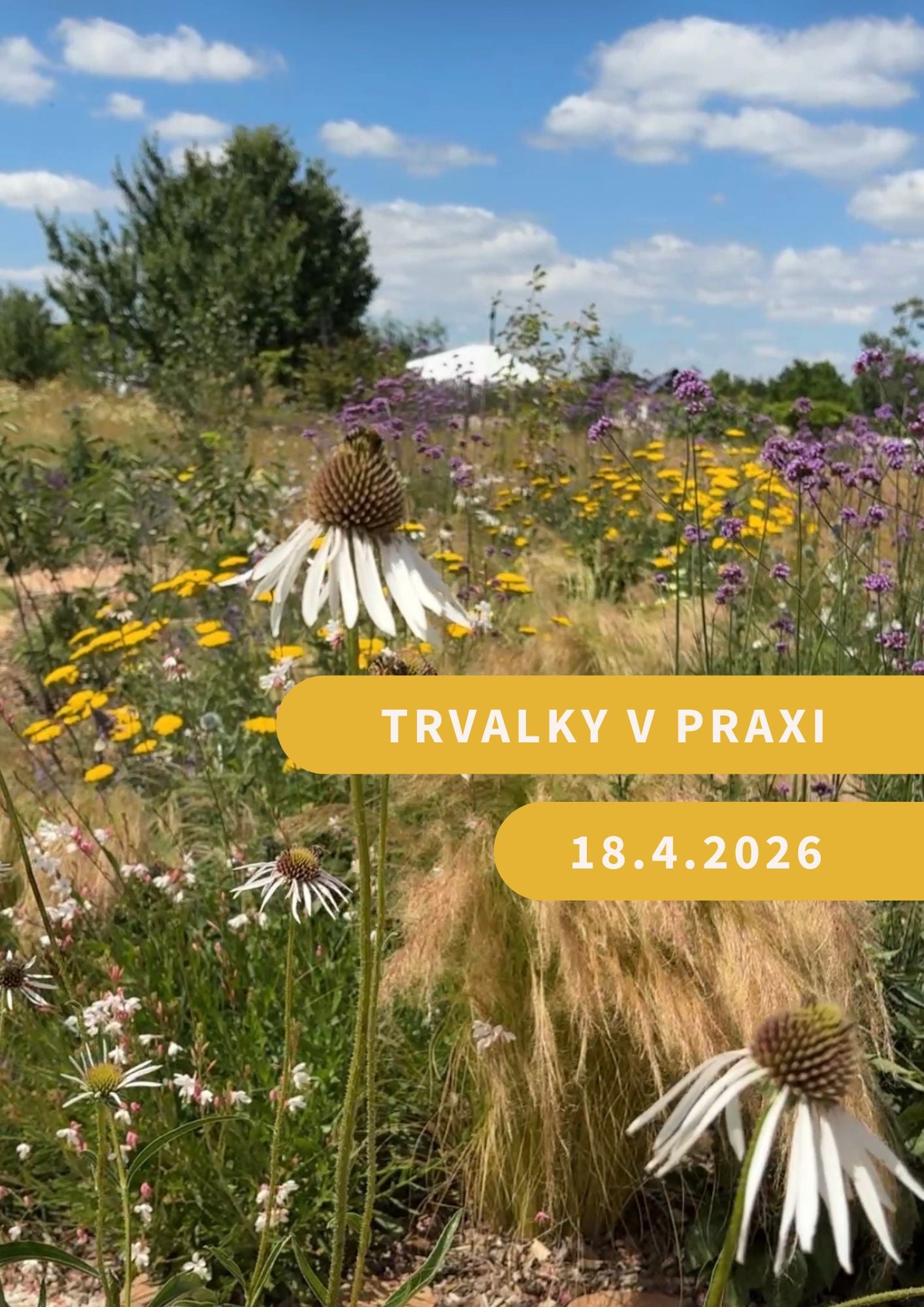 Ako založiť trvalkový záhon, ktorý je funkčný a krásny – praktický workshop na kvetinovej farme